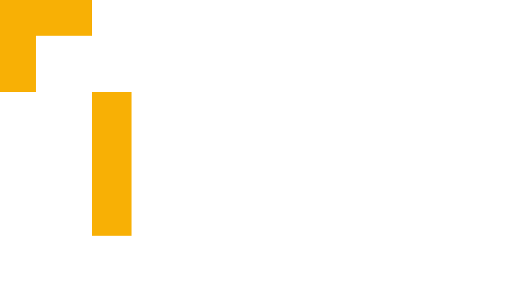 IRIS BTS SIO Reims